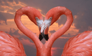 Cute:2zpwixshhdk= Wallpaper