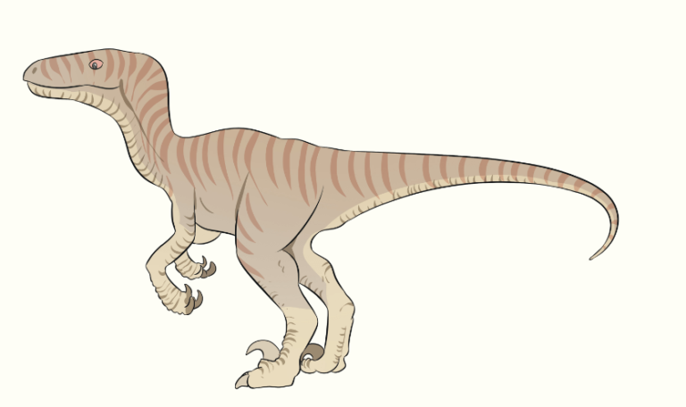 Cute:6f37tri7vvu= Dinosaur Drawing Easy