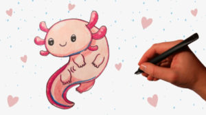 Cute:3bn4iyqag_E= Axolotl Drawing