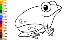 Cute:7ziqkivryto= Drawing Frogs