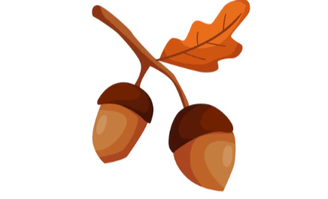 Outline:0b0g8pfu-G0= Acorn Clipart