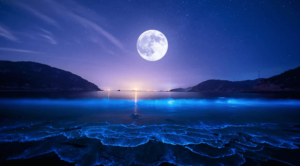 Transparent Background:-Gsakgij2bc= Moon Clipart