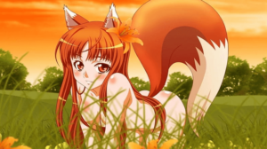Anime:3jhki2x2ld8= Fox Wallpaper