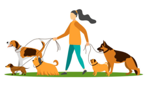 Animated:-L2qfvdryis= Dog Walking