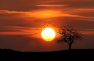 Clip Art:4hqtdmscycy= Simple:Wb9l0g1iz_8= Sun