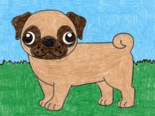 Art:-Pafzcjhogi= How to Draw a Pug