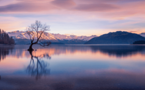 Map:4awhzpz3xqs= New Zealand