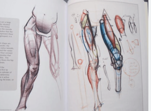 Figure Drawing: Design and Invention by Michael Hampton