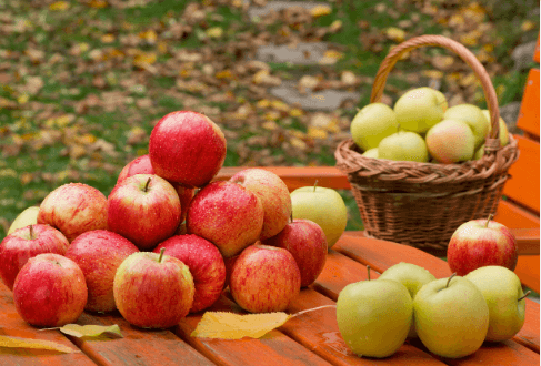 Clipart:88qxehsgzvu= Apples