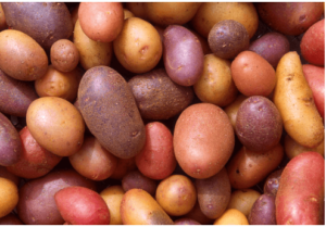 Clipart:218hmrdlsjy= Potato