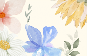 Cute:_757rbppozw= Pastel:Qiyu-Pirduk= Wallpaper