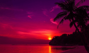 Aesthetic:17k7mlan9be= Sunset
