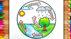 Easy:_Sx-G_Stery= the Water Cycle