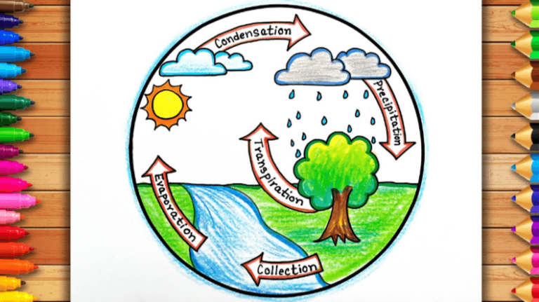 Easy:_Sx-G_Stery= the Water Cycle