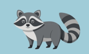 Clipart:Gds0bimhyta= Raccoon