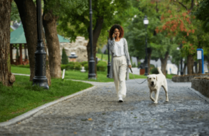 Dog Walking Services for Daily Exercise and Companionship