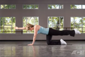 Fitness Training Services for Personalized Workout Plans