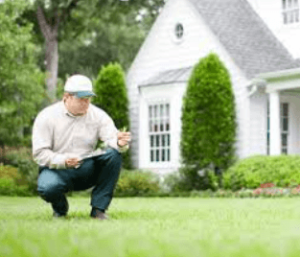 Lawn Care Services for a Green, Healthy Lawn