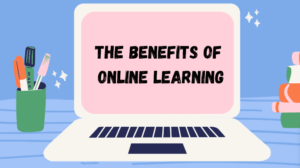Online Learning Services for Flexible, Accessible Education