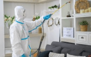 Pest Control Services for a Pest-Free Living Space