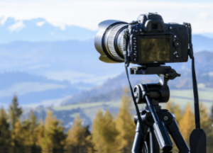 Photography Services to Capture Life's Most Important Moments