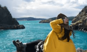 Travel Agency Services for Customized Travel Planning