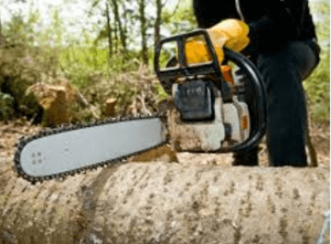 Tree Removal Services for Safe and Professional Tree Cutting