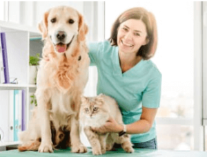 Veterinary Services for Comprehensive Pet Care