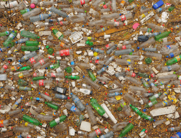 Finds Widespread Presence Plastics in