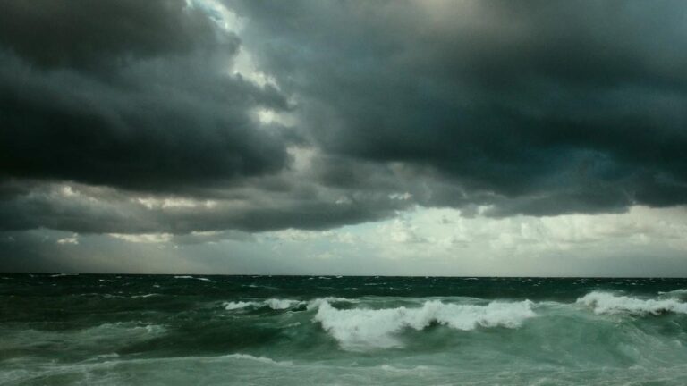 10 Hurricane Preparedness Tips for South Florida Residents and Businesses
