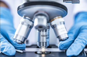 Follistatin-344: A Multifunctional Peptide at the Crossroads of Growth and Cellular Research