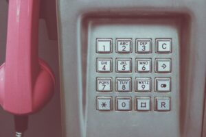 inspect specific public numbers registry entries