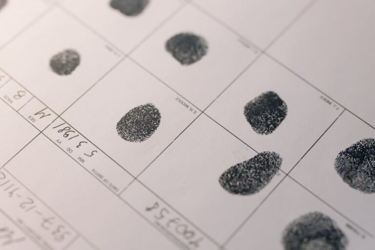 public registry findings summaries
